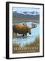 Yellowstone National Park - Moose Drinking in Lake-Lantern Press-Framed Art Print