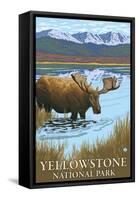 Yellowstone National Park - Moose Drinking in Lake-Lantern Press-Framed Stretched Canvas