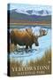 Yellowstone National Park - Moose Drinking in Lake-Lantern Press-Stretched Canvas