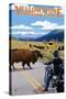 Yellowstone National Park - Motorcycle and Bison-Lantern Press-Stretched Canvas