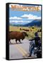 Yellowstone National Park - Motorcycle and Bison-Lantern Press-Framed Stretched Canvas