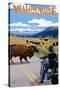 Yellowstone National Park - Motorcycle and Bison-Lantern Press-Stretched Canvas