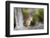 Yellowstone National Park, portrait of a chipmunk.-Ellen Goff-Framed Photographic Print