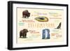 Yellowstone National Park - Typography and Icons-Lantern Press-Framed Premium Giclee Print