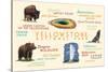 Yellowstone National Park - Typography and Icons-Lantern Press-Stretched Canvas