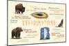 Yellowstone National Park - Typography and Icons-Lantern Press-Mounted Art Print