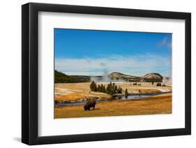 Yellowstone National Park, USA, Bison, buffalo, Steam, Old Faithful, Yellowstone River-Jolly Sienda-Framed Photographic Print