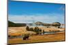 Yellowstone National Park, USA, Bison, buffalo, Steam, Old Faithful, Yellowstone River-Jolly Sienda-Mounted Photographic Print