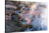 Yellowstone National Park, USA, Wyoming. Artists Paintpots.-Jolly Sienda-Stretched Canvas