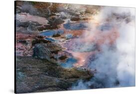 Yellowstone National Park, USA, Wyoming. Artists Paintpots.-Jolly Sienda-Stretched Canvas
