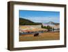 Yellowstone National Park, USA, Wyoming. Buffalo and Old Faithful.-Jolly Sienda-Framed Photographic Print