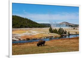 Yellowstone National Park, USA, Wyoming. Buffalo and Old Faithful.-Jolly Sienda-Framed Photographic Print