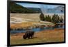 Yellowstone National Park, USA, Wyoming. Buffalo and Old Faithful.-Jolly Sienda-Framed Photographic Print