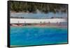 Yellowstone National Park, USA, Wyoming. Grand Prismatic Spring with tourist.-Jolly Sienda-Framed Stretched Canvas