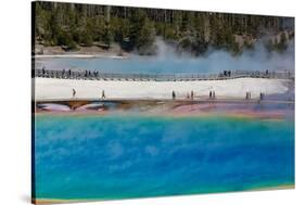 Yellowstone National Park, USA, Wyoming. Grand Prismatic Spring with tourist.-Jolly Sienda-Stretched Canvas