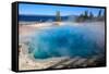 Yellowstone National Park, West Thumb Geysers, Lake Yellowstone.-Jolly Sienda-Framed Stretched Canvas