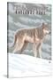 Yellowstone National Park - Wolf in Forest-Lantern Press-Stretched Canvas