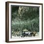 Yellowstone National Park (Wyoming, United States), the Cathedral Rock-Leon, Levy et Fils-Framed Photographic Print