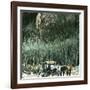 Yellowstone National Park (Wyoming, United States), the Cathedral Rock-Leon, Levy et Fils-Framed Photographic Print