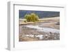 Yellowstone National Park, Wyoming, USA. Scenic landscape of Slough Creek.-Janet Horton-Framed Photographic Print