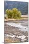 Yellowstone National Park, Wyoming, USA. Scenic landscape of Slough Creek.-Janet Horton-Mounted Photographic Print