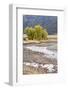 Yellowstone National Park, Wyoming, USA. Scenic landscape of Slough Creek.-Janet Horton-Framed Photographic Print