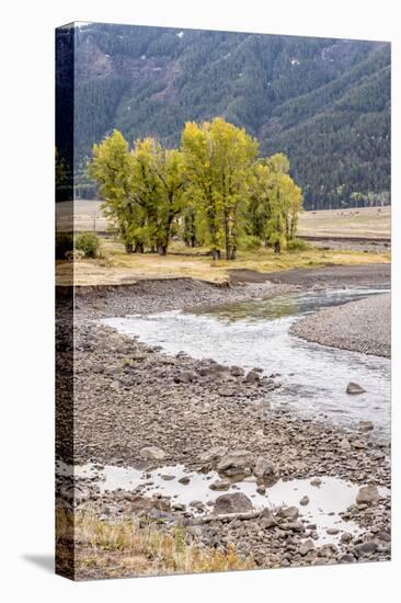 Yellowstone National Park, Wyoming, USA. Scenic landscape of Slough Creek.-Janet Horton-Stretched Canvas