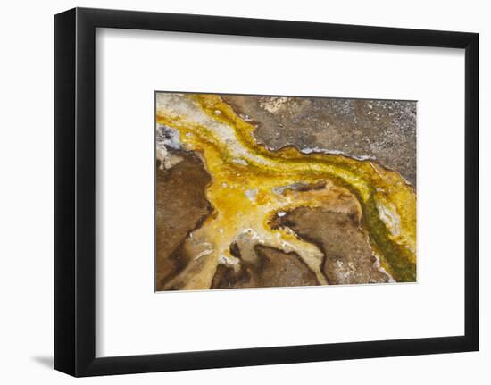 Yellowstone National Park, Wyoming, USA. Thermal bacteria mat.-Janet Horton-Framed Photographic Print