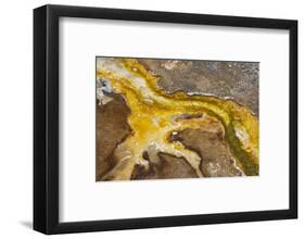 Yellowstone National Park, Wyoming, USA. Thermal bacteria mat.-Janet Horton-Framed Photographic Print