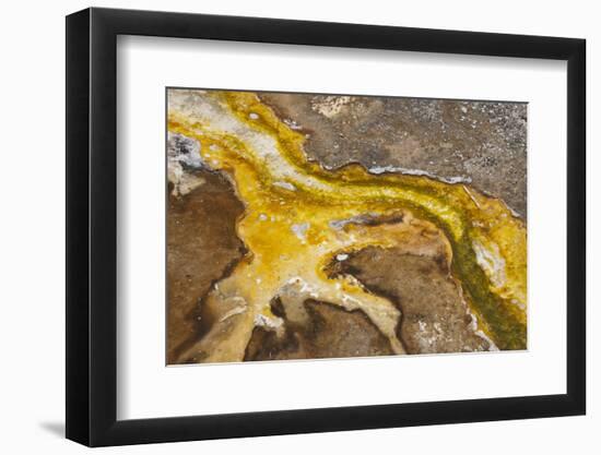 Yellowstone National Park, Wyoming, USA. Thermal bacteria mat.-Janet Horton-Framed Photographic Print