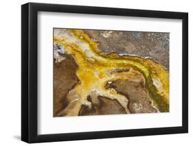 Yellowstone National Park, Wyoming, USA. Thermal bacteria mat.-Janet Horton-Framed Photographic Print