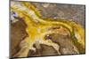 Yellowstone National Park, Wyoming, USA. Thermal bacteria mat.-Janet Horton-Mounted Photographic Print