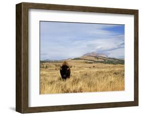 Yellowstone National Park, Wyoming, USA-Rolf Nussbaumer-Framed Photographic Print