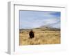 Yellowstone National Park, Wyoming, USA-Rolf Nussbaumer-Framed Photographic Print