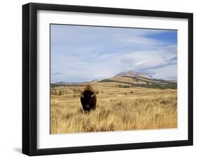 Yellowstone National Park, Wyoming, USA-Rolf Nussbaumer-Framed Photographic Print