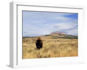 Yellowstone National Park, Wyoming, USA-Rolf Nussbaumer-Framed Photographic Print