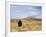 Yellowstone National Park, Wyoming, USA-Rolf Nussbaumer-Framed Photographic Print