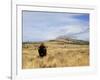 Yellowstone National Park, Wyoming, USA-Rolf Nussbaumer-Framed Photographic Print