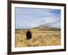 Yellowstone National Park, Wyoming, USA-Rolf Nussbaumer-Framed Photographic Print