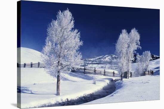 Yellowstone National Park, Wyoming, USA-Charles Sleicher-Stretched Canvas