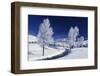 Yellowstone National Park, Wyoming, USA-Charles Sleicher-Framed Photographic Print