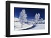 Yellowstone National Park, Wyoming, USA-Charles Sleicher-Framed Photographic Print