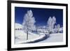 Yellowstone National Park, Wyoming, USA-Charles Sleicher-Framed Photographic Print