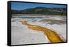 Yellowstone National Park, Wyoming, USA-Roddy Scheer-Framed Stretched Canvas