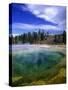 Yellowstone National Park, Wyoming-Walter Bibikow-Stretched Canvas