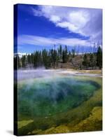 Yellowstone National Park, Wyoming-Walter Bibikow-Stretched Canvas