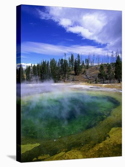 Yellowstone National Park, Wyoming-Walter Bibikow-Stretched Canvas