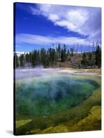 Yellowstone National Park, Wyoming-Walter Bibikow-Stretched Canvas