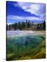 Yellowstone National Park, Wyoming-Walter Bibikow-Stretched Canvas