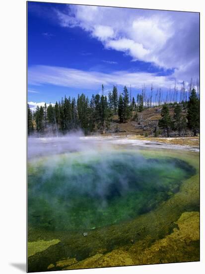 Yellowstone National Park, Wyoming-Walter Bibikow-Mounted Photographic Print